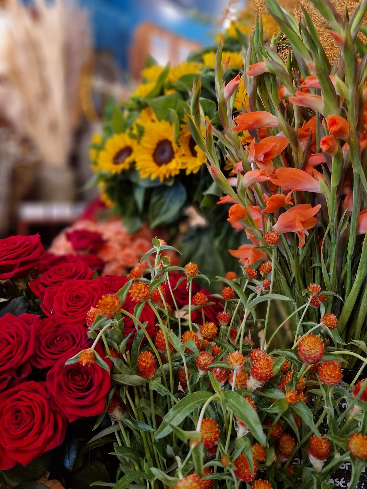 Tournesols, roses rouges et fleurs orangées