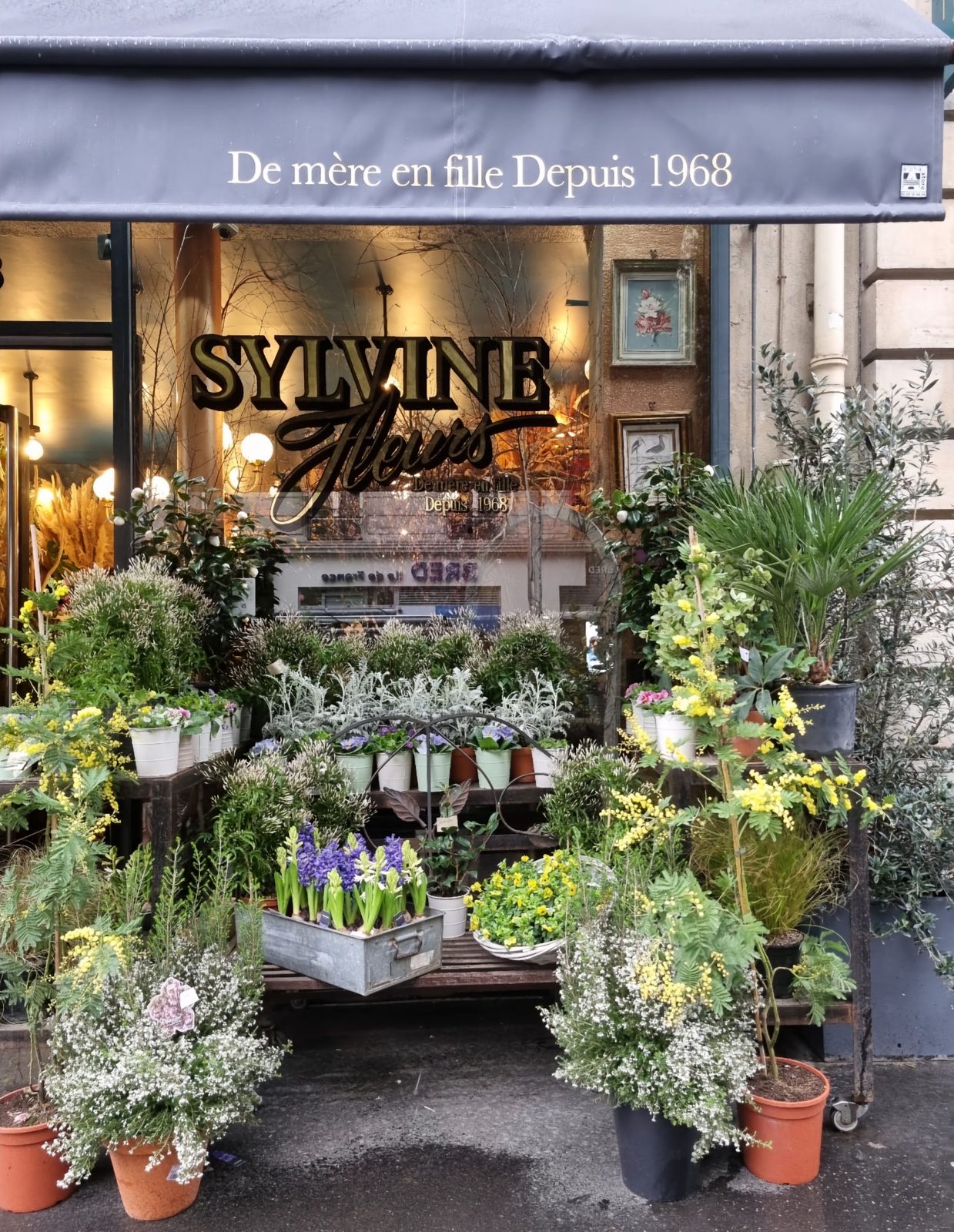 La devanture vue de face : store noir, lettrage doré Sylvine Fleurs, plantes et fleurs de saison sur les étagères du trottoir