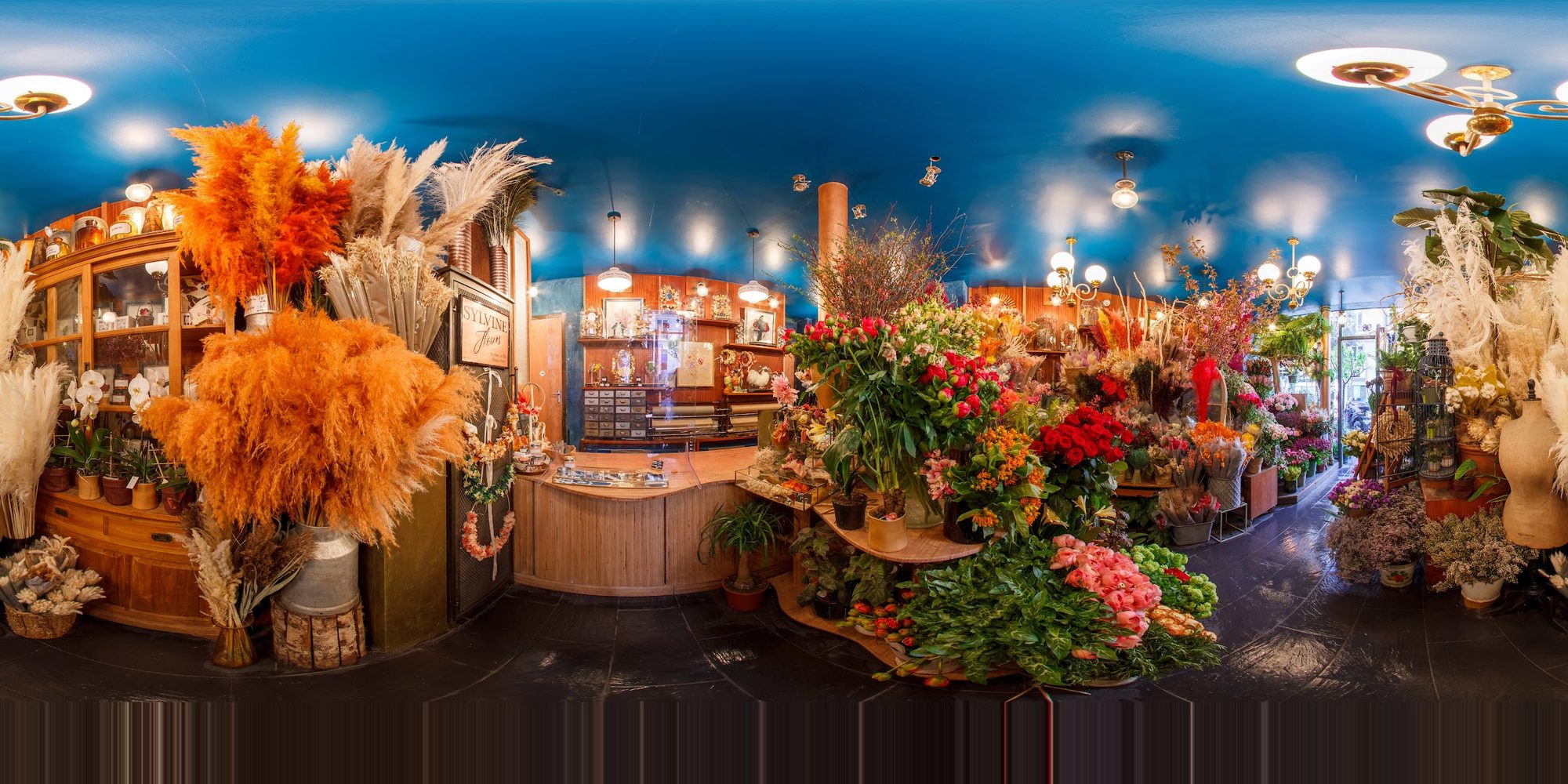 Vue d’ensemble de la boutique, fleurs séchées et compositions sous les suspensions