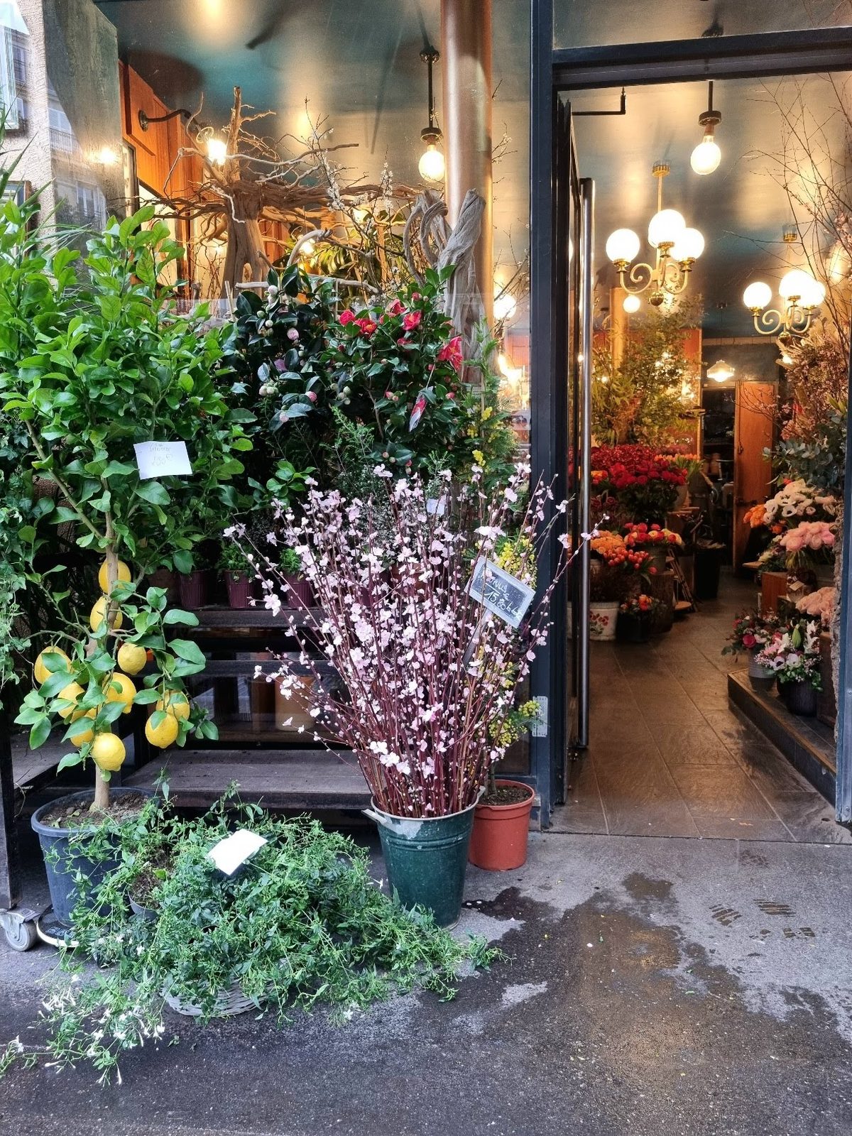 L’intérieur de la boutique : plantes vertes, bouquets et lumières chaudes